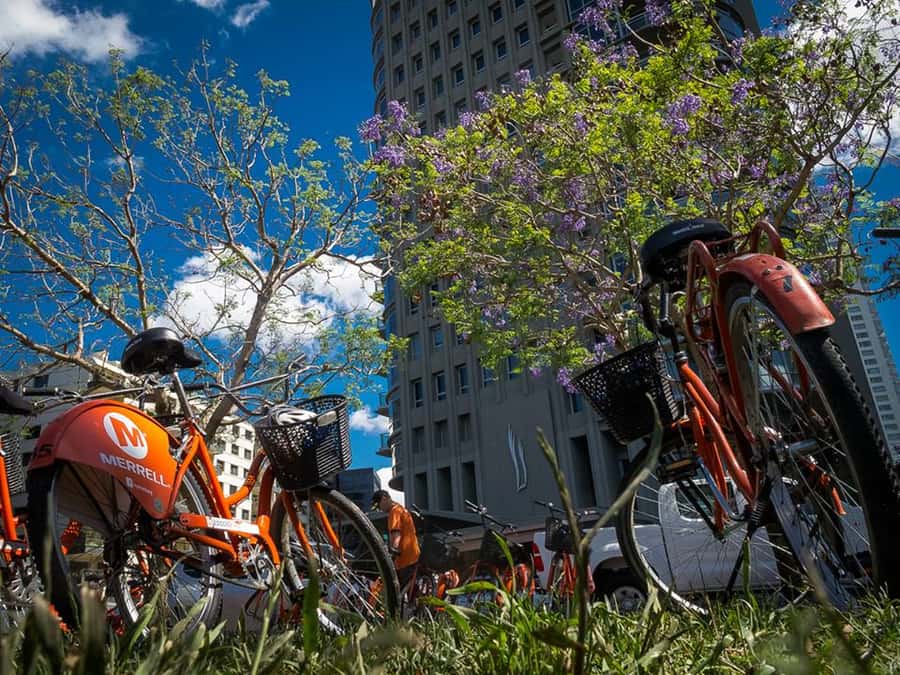 Buenos Aires Bike Tour: South or North Circuit - Why a bike is a smart way to see Buenos Aires