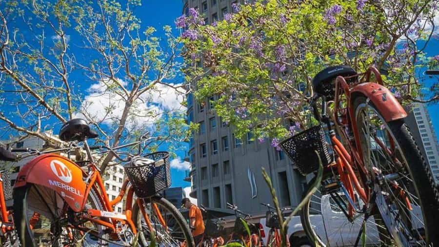 Buenos Aires Bike Tour: South or North Circuit - What the three-hour format really gives you