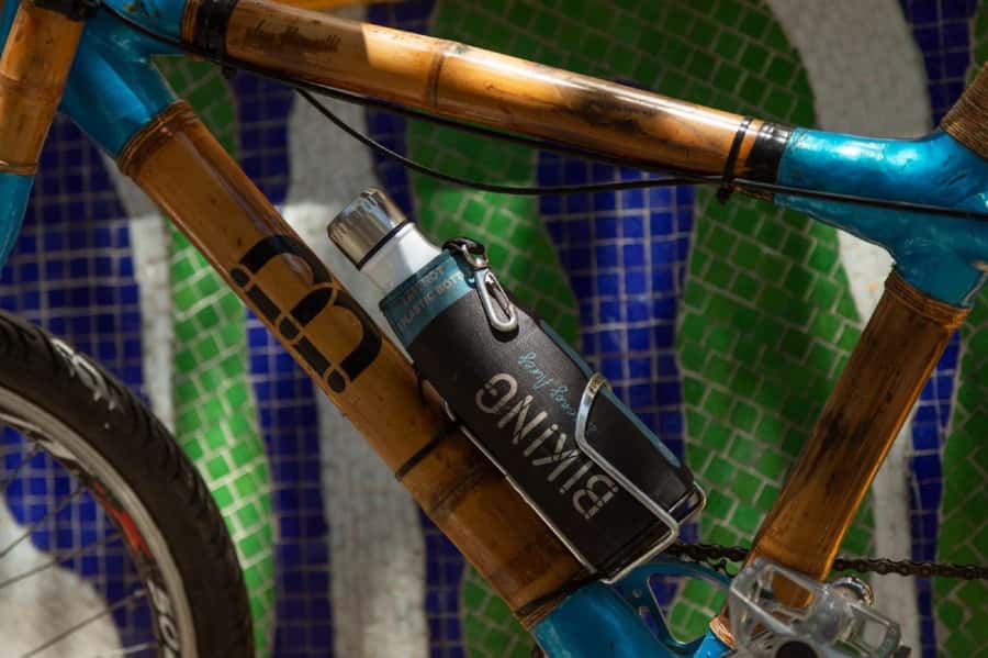 Buenos Aires: Biking Tour - Who should choose this Buenos Aires bike tour?