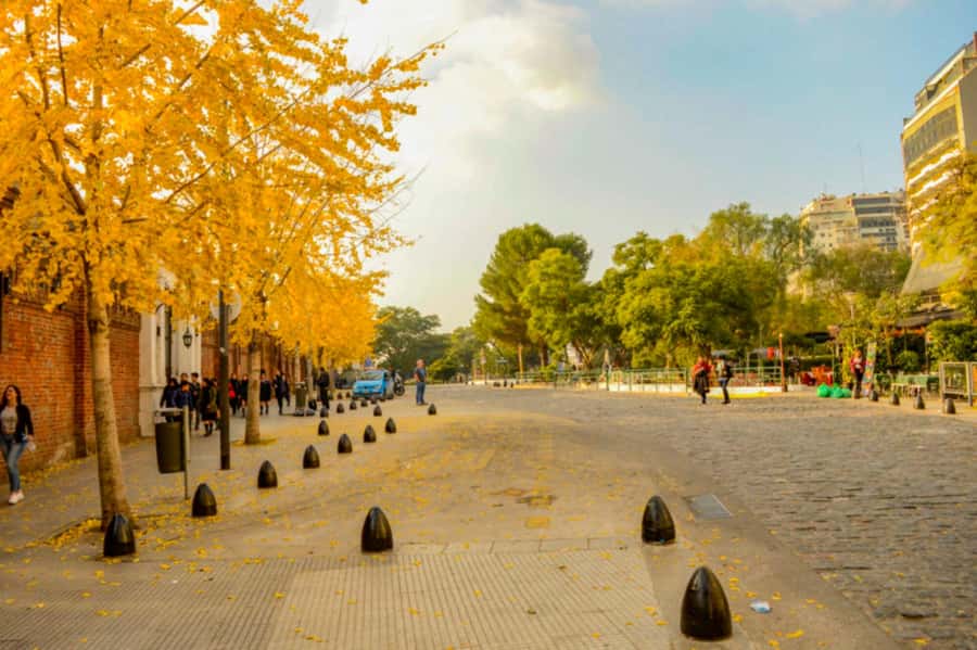 Buenos Aires: City Tour Porteno with Wine Tasting - What this five-hour Buenos Aires tour is trying to do