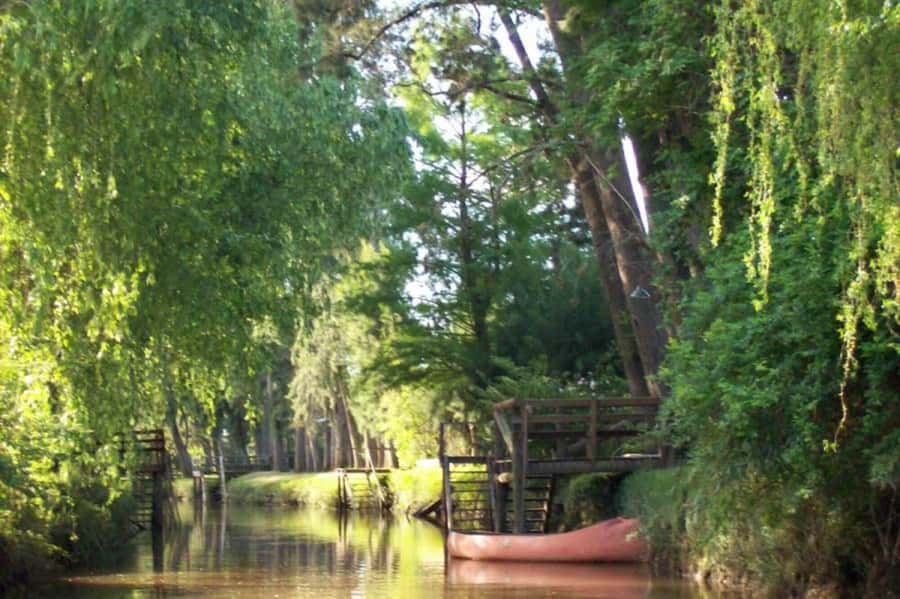 Buenos Aires: Classic Delta of Tigre Boat Tour - Paseo Victorica, museums, and the Puerto de Frutos market
