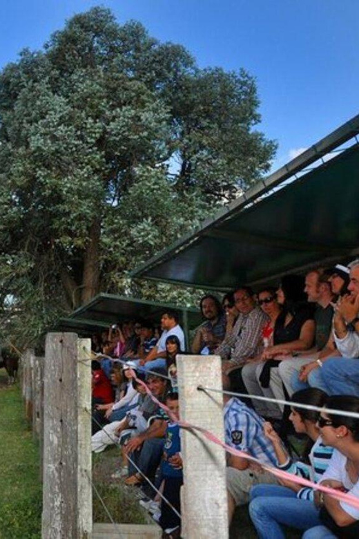 Buenos Aires: Don Silvano Ranch Gaucho Day Trip - Folk music, dancing, and a taste of mate
