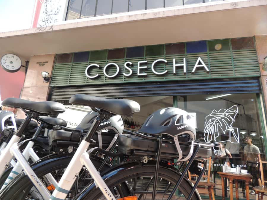 Buenos Aires: E-Bike Tour in the South Circuit of Buenos Aires - What the $65 price really buys you