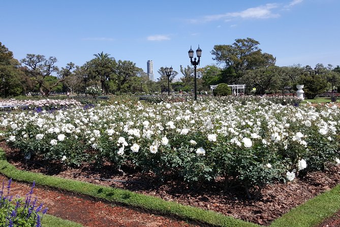 Buenos Aires - Full Day Private City Tour - Football, the River Plate, and Parque de la Memoria