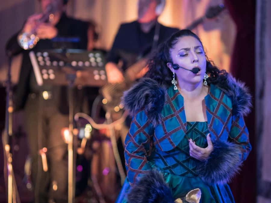 Buenos Aires: Gala Lírica Tickets at Palacio Paz. - What the performance itself includes