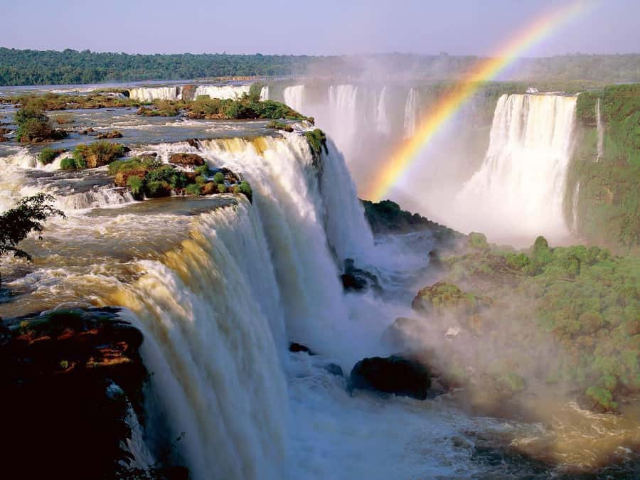 Buenos Aires: Iguazu Falls Private Day Trip with Airfare - The 4:00 AM pickup and flight to Iguazu