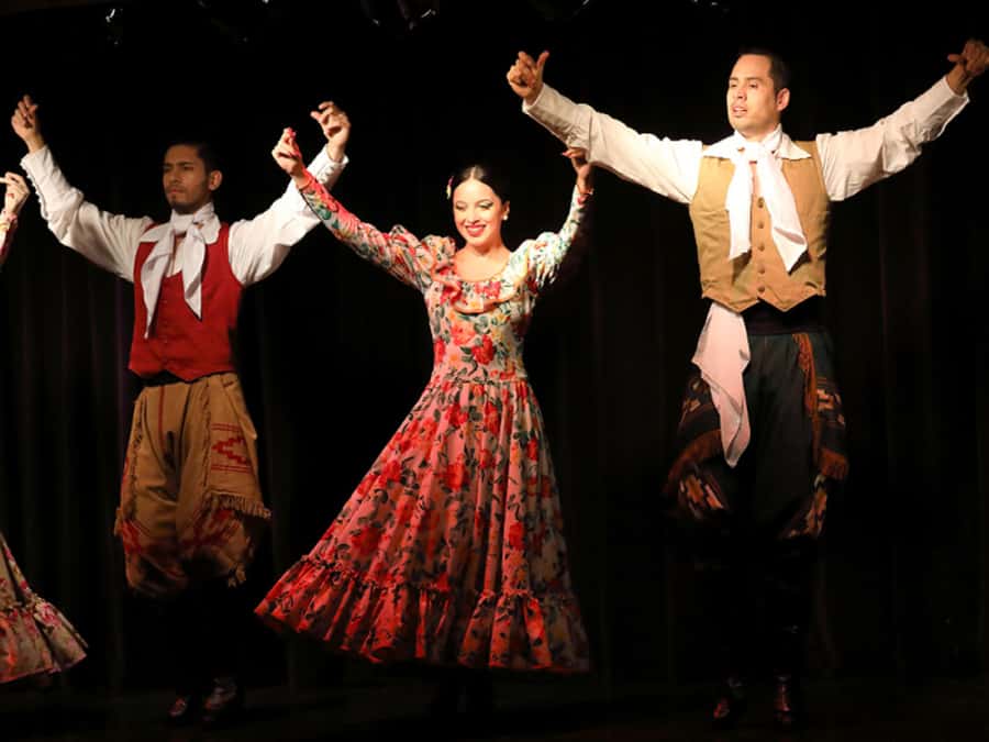 Buenos Aires: Live Michelangelo Tango & Folklore Show Ticket - Five tango couples bring the stage to life