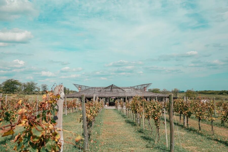 Buenos Aires: Lunch and Wine Tasting at Bodega Gamboa - Is $180 a fair price?