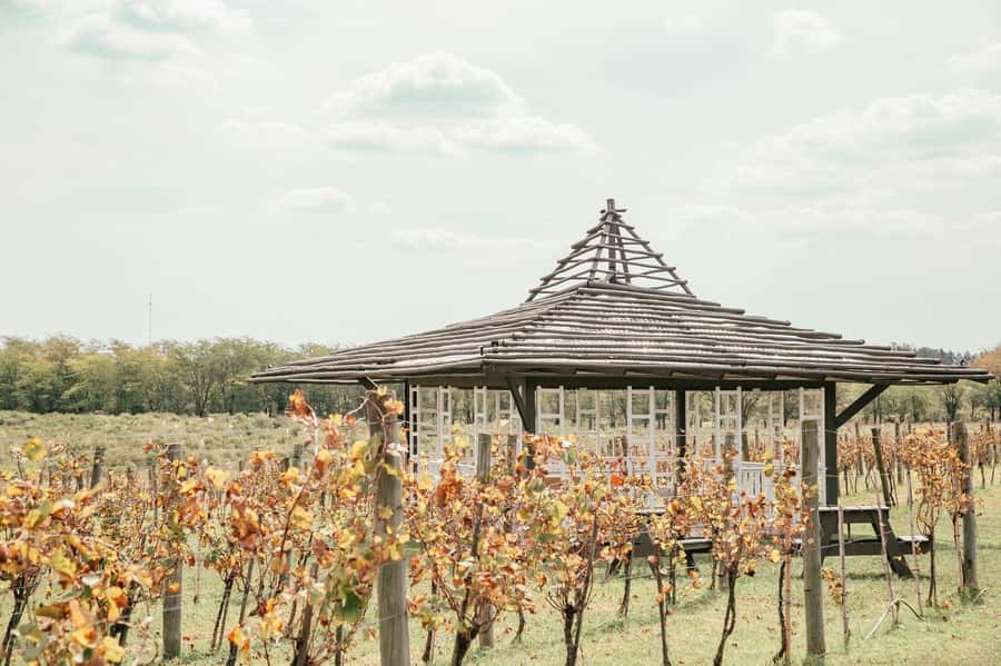 Buenos Aires: Lunch and Wine Tasting at Bodega Gamboa - What to know before you reserve