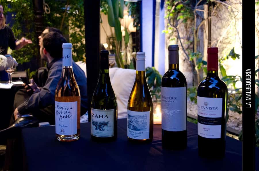 Buenos Aires: Palermo Private Wine Tasting & Walking Tour - Four Argentine wines from Mendoza to Río Negro