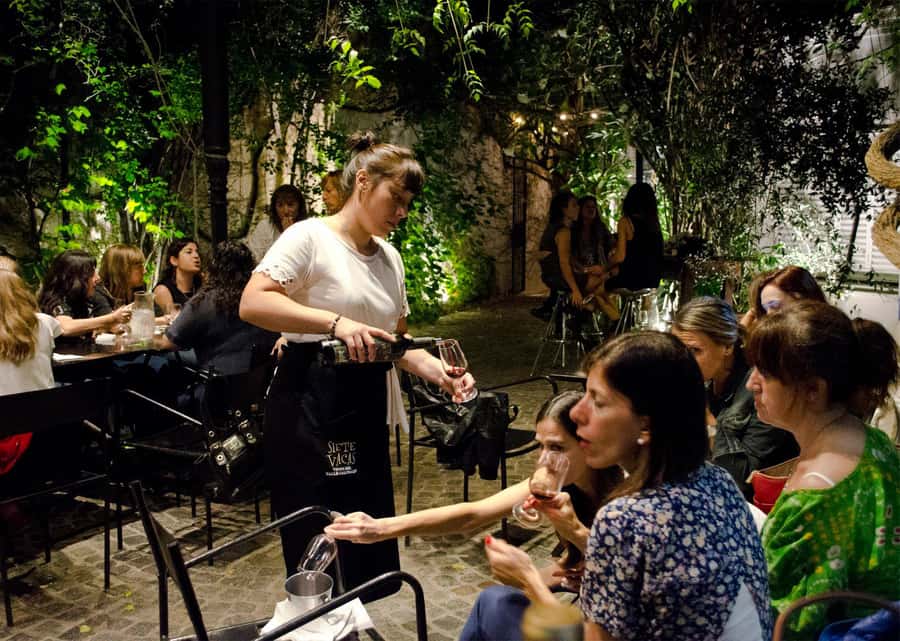 Buenos Aires: Palermo Private Wine Tasting & Walking Tour - Languages, access, and the pace of the outing