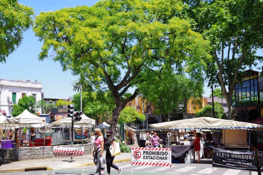 Buenos Aires: Palermo Soho Guided Walking Tour - Designer shops, bars, and the Palermo Soho feel