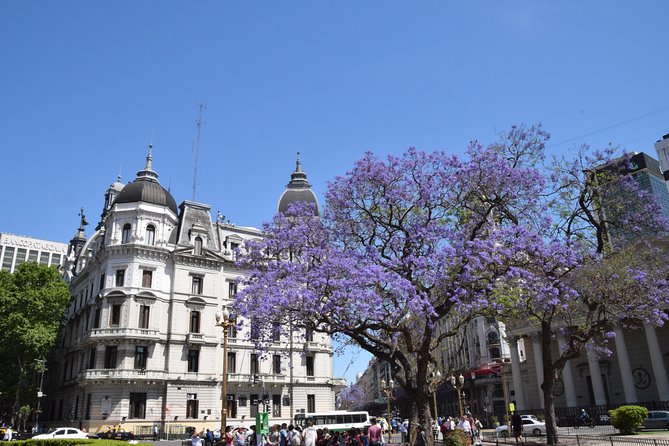 Buenos Aires Private City Tour by Car - Catedral Primada and the city’s religious past