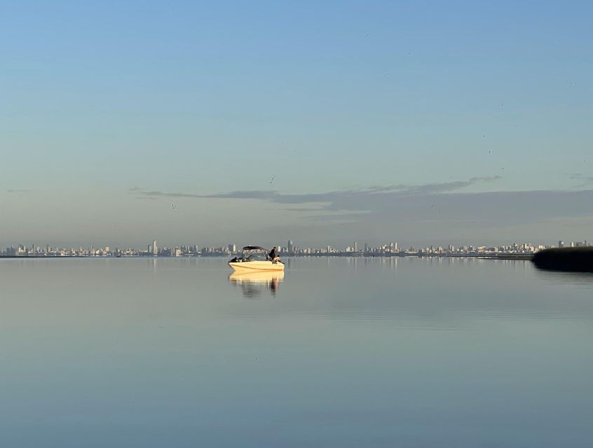 Buenos Aires: Private Delta Boat Tour with Barbecue onboard - Weather, cancellation, and planning around the trip
