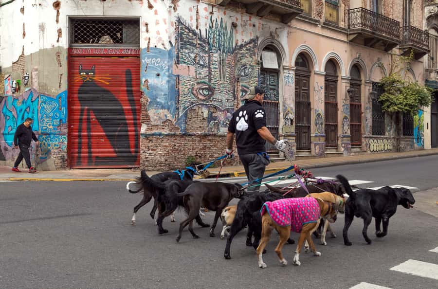 Buenos Aires: Private Photo Tour for Ammateur Photographers - The 15-minute bus ride to San Telmo