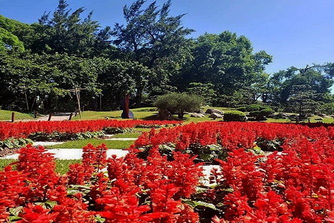 Buenos Aires Private Tour Discovering Palermo, The Japanese & Botanical Gardens - Timing, Clothing, and Practical Details