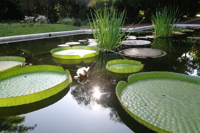 Buenos Aires Private Tour Discovering Palermo, The Japanese & Botanical Gardens - Who Will Enjoy This Buenos Aires Garden Tour?