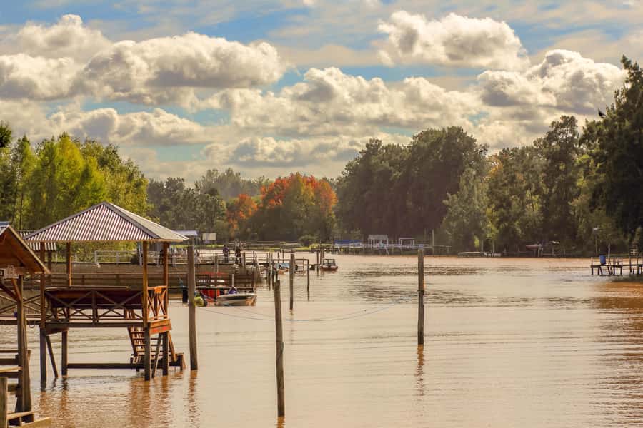 Buenos Aires: Puerto Madero to Tigre Round Trip Cruise - What the $58 price really covers