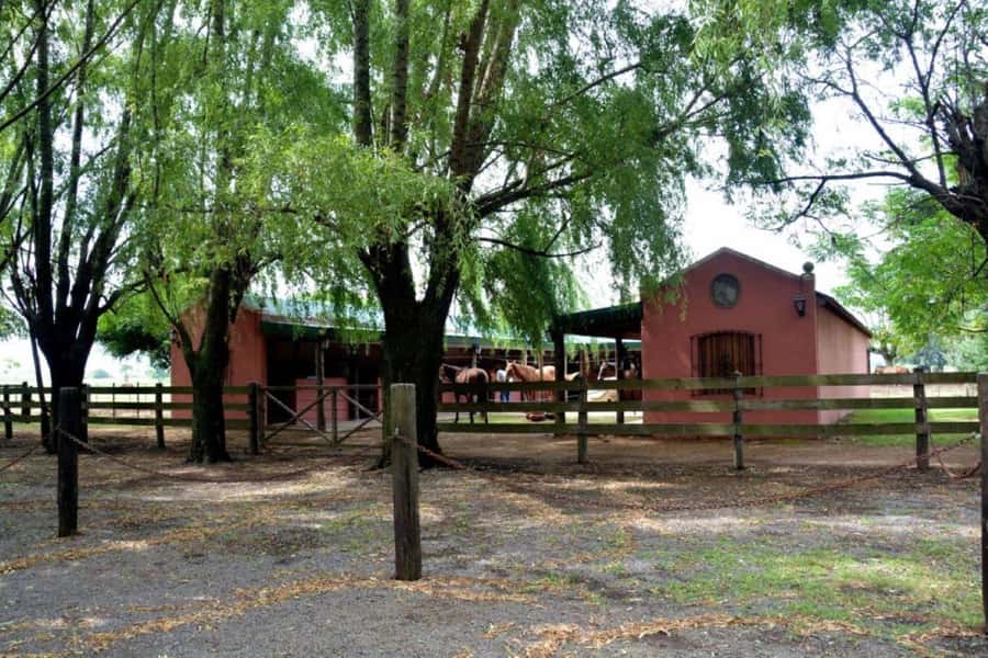 Buenos Aires: Santa Susana Ranch Day Tour, BBQ & Shows - Who Will Enjoy This Ranch Day Most?