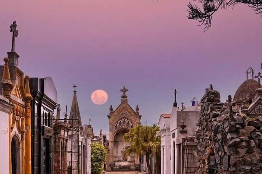 Buenos Aires: Small Group City Highlights Tour - Caminito is colorful, lively, and easy to overestimate