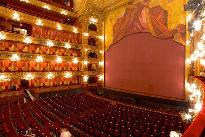 Buenos Aires Teatro Colon Guided Tour - Group size and the English-language experience
