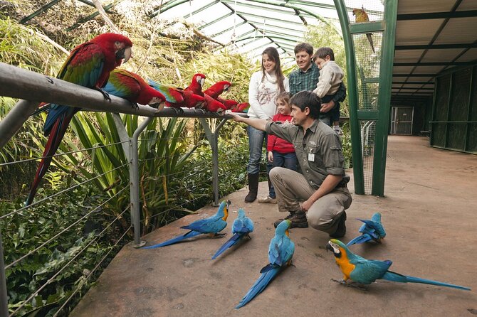 Buenos Aires: Temaiken Biopark including Transfers - Key things to know before you book