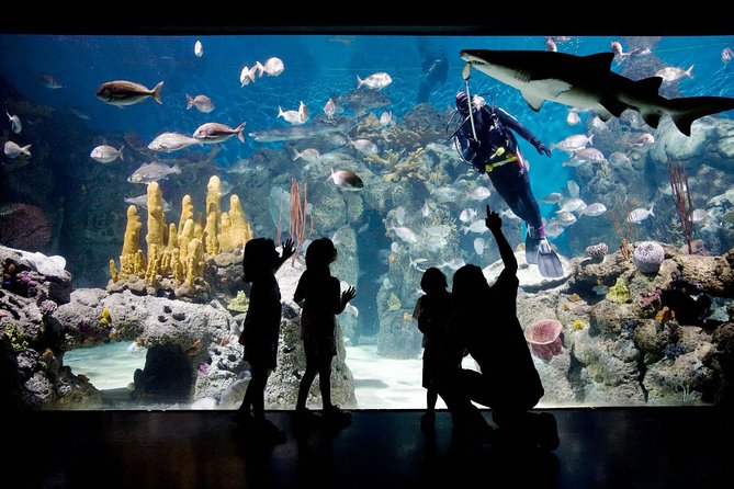 Buenos Aires: Temaiken Biopark including Transfers - Is the $155 price reasonable?