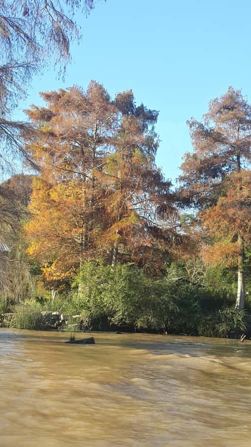 Buenos Aires: Ticket - Classic Delta of Tigre Boat Tour - What the one-hour duration really means
