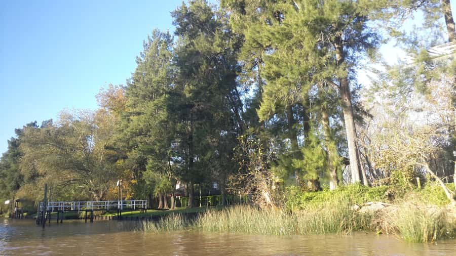 Buenos Aires: Ticket - Classic Delta of Tigre Boat Tour - Is $27 good value for the cruise?