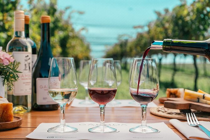 Buenos Aires: Wine Tasting and Lunch at Bodega Gamboa - Key things to know before booking