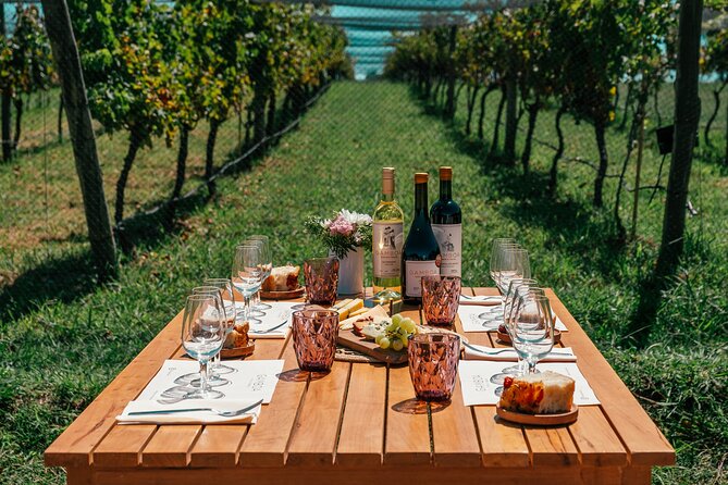 Buenos Aires: Wine Tasting and Lunch at Bodega Gamboa - Why Bodega Gamboa makes sense from Buenos Aires