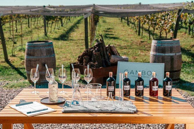 Buenos Aires: Wine Tasting and Lunch at Bodega Gamboa - The hotel pickup and drive to Campana