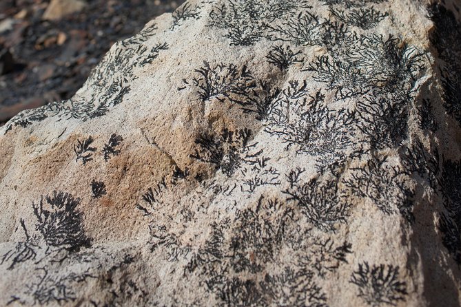 Cañadón de los Fósiles Expedition - How demanding is the 14-kilometer hike?