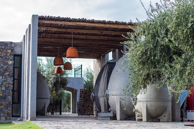Catena Zapata Winery, Lunch and Private Transportation - Catena Zapata: two hours of polished wine education