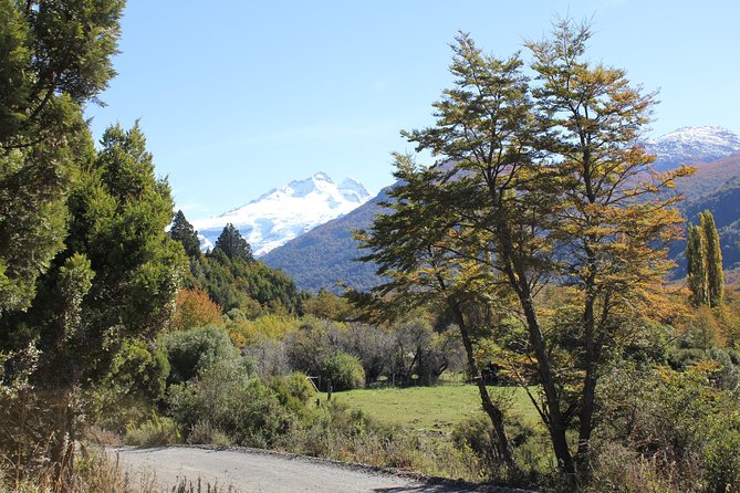 Cerro Tronador - Who should book this Bariloche excursion