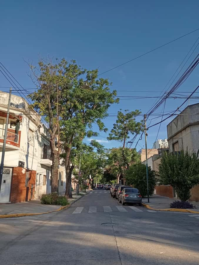 CHACARITA CEMETERY + PARQUE CHAS (LABYRINTH) - Why Chacarita Makes a Strong Starting Point