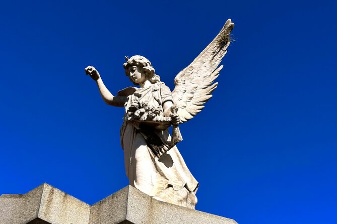 City of Angels: Walking Tour Recoleta - Skip the line - Inside Recoleta Cemetery: marble, memory, and famous names