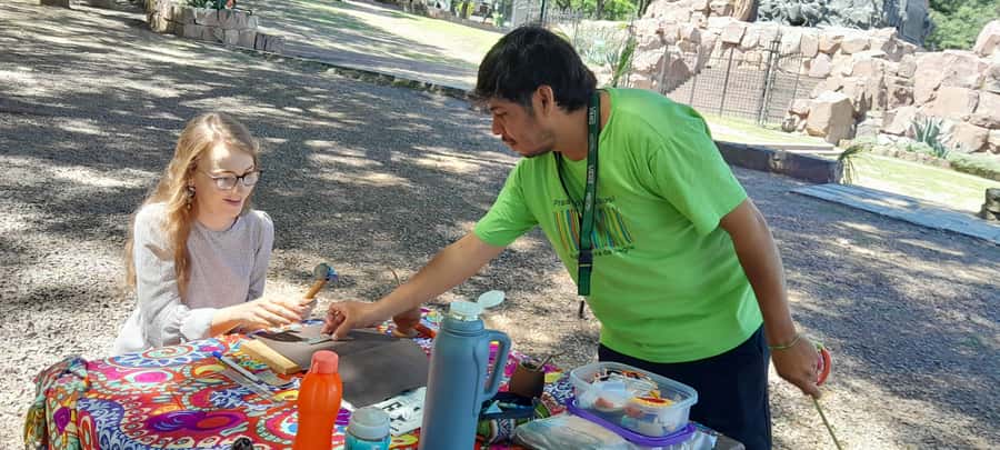 City of Salta: Alpaca and leather handicraft workshop in the open air! - Who will enjoy this Salta craft experience?