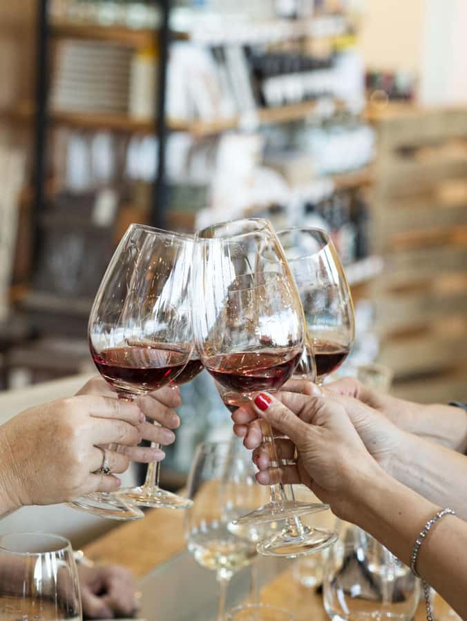 City tour and Wine tasting - Two hours with Patagonian wine and cheese