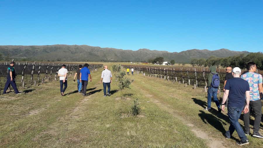 Córdoba: Wine Tour Privado a Calamuchita - Día completo - Key points to know before booking