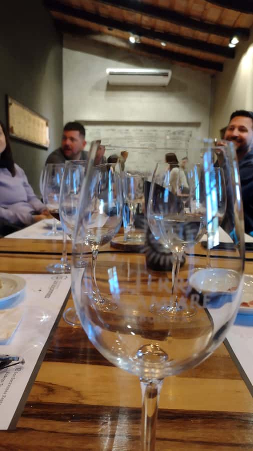 Córdoba: Wine Tour Privado a Colonia Caroya - Día completo - Comparing the second winery