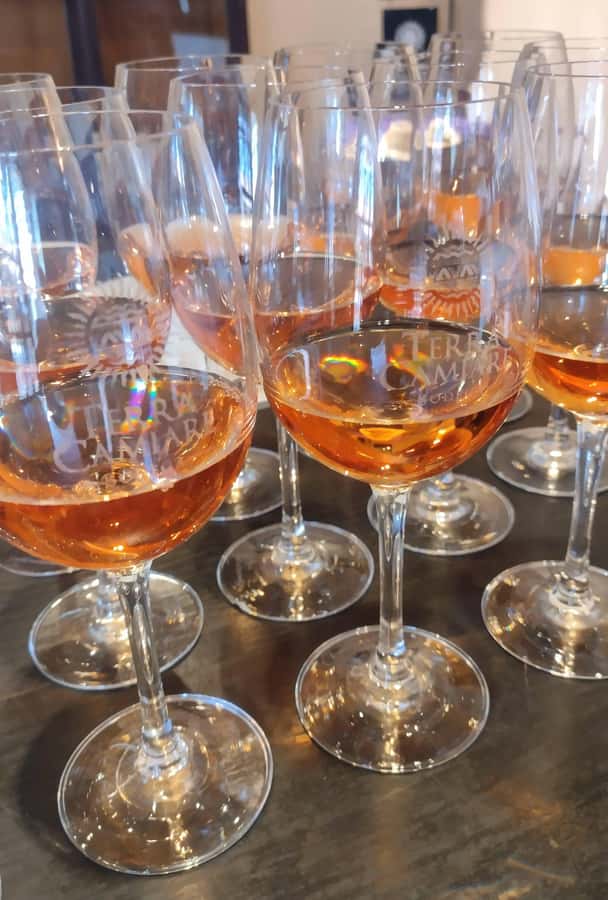 Córdoba: Wine Tour Privado a Colonia Caroya - Día completo - What the $220 price really covers