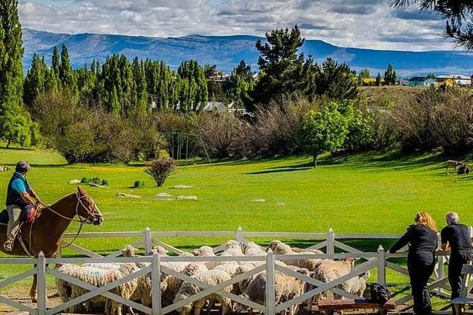 Country Afternoon with Dinner Show - Estancia 25 de Mayo - Coffee, fried cakes, and stories beside the fire