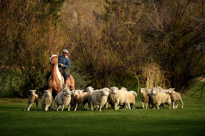 Country Afternoon with Dinner Show - Estancia 25 de Mayo - Who will enjoy this estancia afternoon most