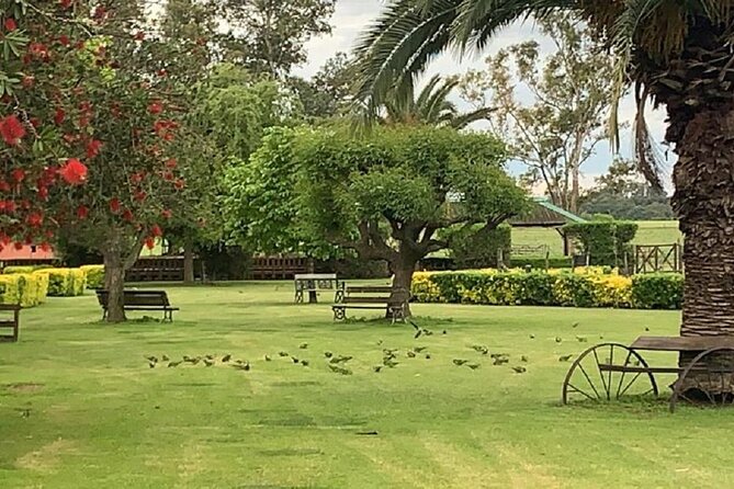 Country Day in Estancia Santa Susana from Buenos Aires. - The barbecue is the heart of the day