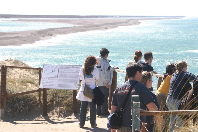 Cruise Shore Excursion Peninsula Valdes - Pto Madryn - Patagonia - Argentina - Why the guides matter so much