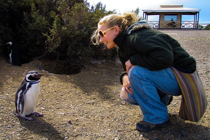 Cruise Shore Excursion Punta Tombo with Boxlunch from Pto Madryn - The road from Puerto Madryn to Punta Tombo