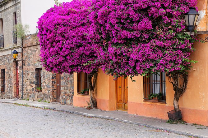 Day Tour in Colonia del Sacramento - Key points before you book