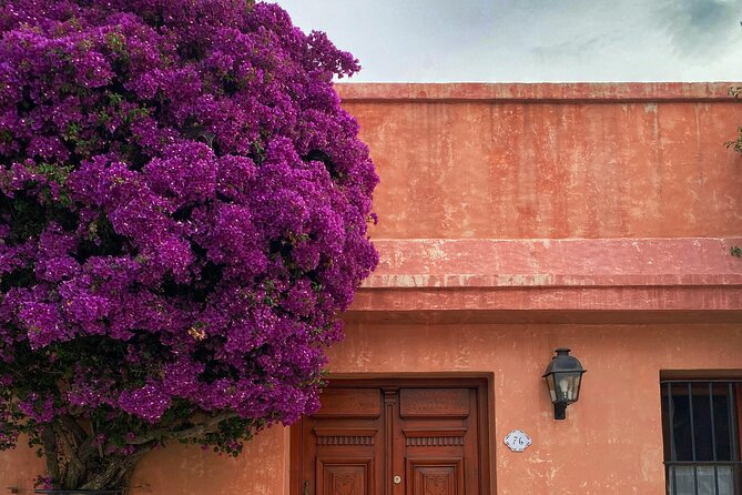 Day tour in Colonia del Sacramento, Uruguay - What the $179 price really covers