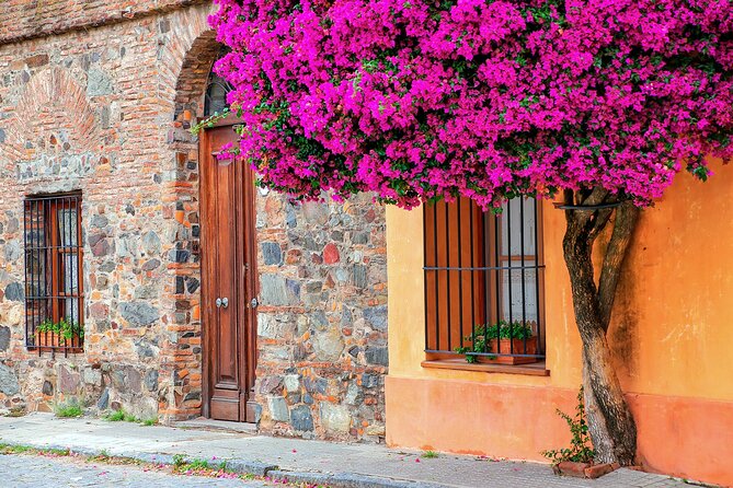 Day Tour + snack on board - Why Colonia makes a strong side trip from Buenos Aires